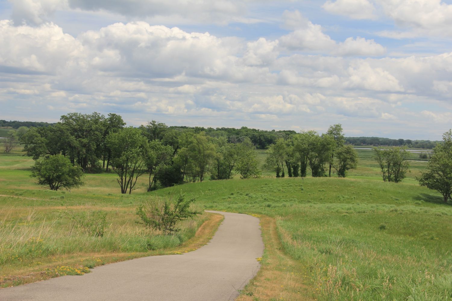 Badger Park Trail 